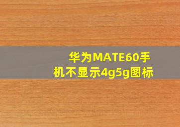 华为MATE60手机不显示4g5g图标