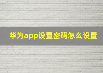 华为app设置密码怎么设置