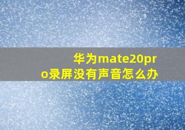 华为mate20pro录屏没有声音怎么办