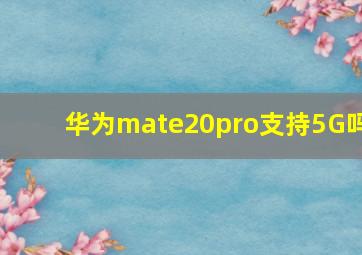 华为mate20pro支持5G吗