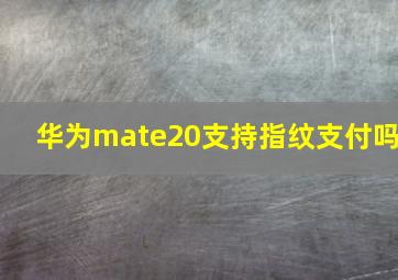 华为mate20支持指纹支付吗