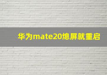 华为mate20熄屏就重启