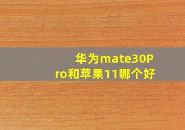 华为mate30Pro和苹果11哪个好