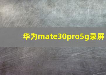 华为mate30pro5g录屏