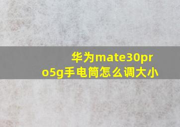 华为mate30pro5g手电筒怎么调大小