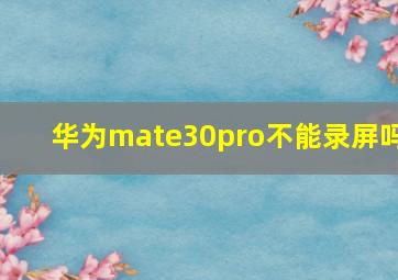 华为mate30pro不能录屏吗