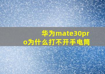 华为mate30pro为什么打不开手电筒