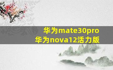 华为mate30pro华为nova12活力版