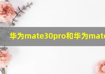 华为mate30pro和华为mate40pro