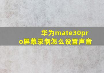 华为mate30pro屏幕录制怎么设置声音