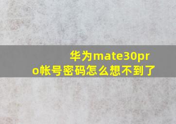 华为mate30pro帐号密码怎么想不到了