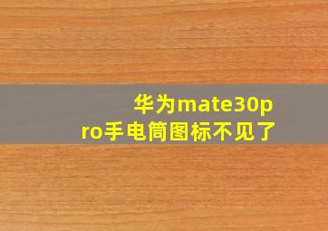 华为mate30pro手电筒图标不见了