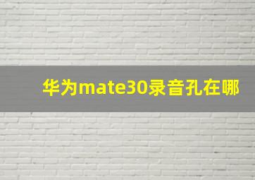 华为mate30录音孔在哪