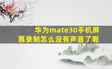 华为mate30手机屏幕录制怎么没有声音了呢