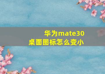 华为mate30桌面图标怎么变小