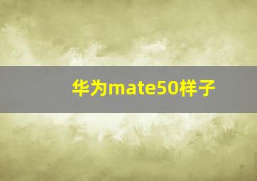 华为mate50样子