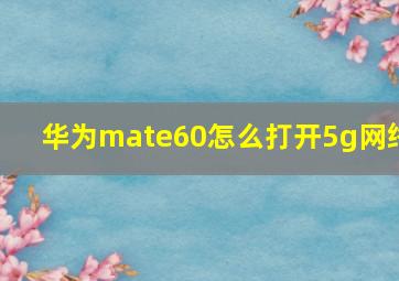 华为mate60怎么打开5g网络