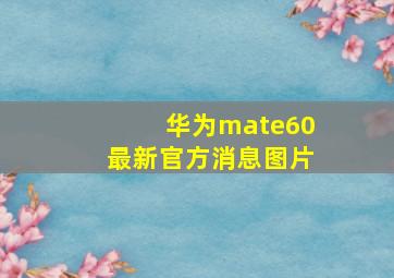 华为mate60最新官方消息图片