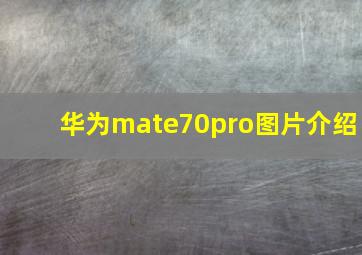 华为mate70pro图片介绍