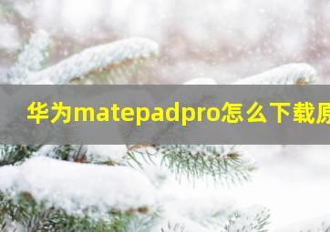 华为matepadpro怎么下载原神