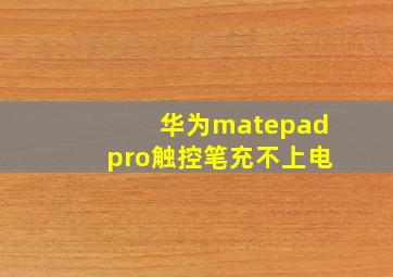 华为matepadpro触控笔充不上电