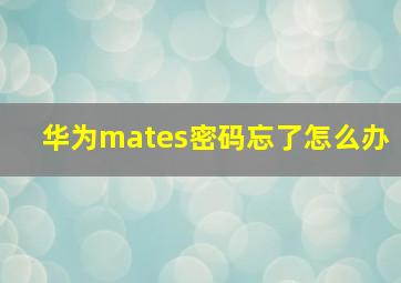 华为mates密码忘了怎么办