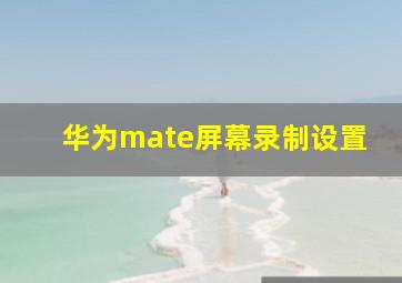 华为mate屏幕录制设置