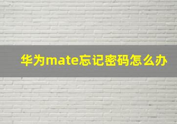 华为mate忘记密码怎么办