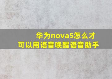 华为nova5怎么才可以用语音唤醒语音助手