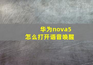 华为nova5怎么打开语音唤醒