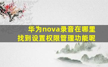 华为nova录音在哪里找到设置权限管理功能呢