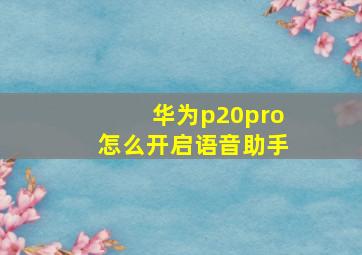 华为p20pro怎么开启语音助手