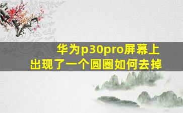 华为p30pro屏幕上出现了一个圆圈如何去掉