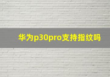 华为p30pro支持指纹吗