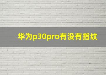 华为p30pro有没有指纹