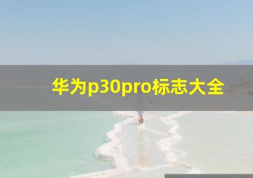 华为p30pro标志大全