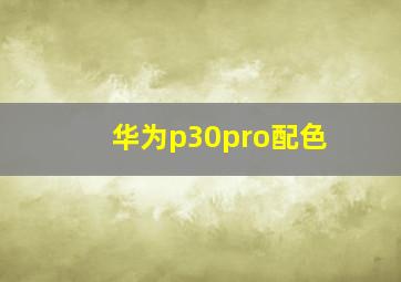 华为p30pro配色