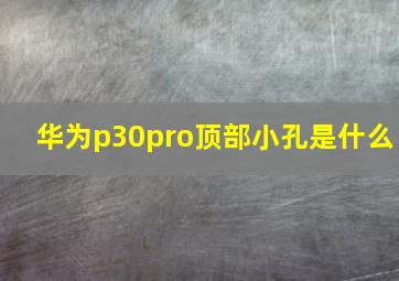 华为p30pro顶部小孔是什么