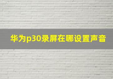 华为p30录屏在哪设置声音