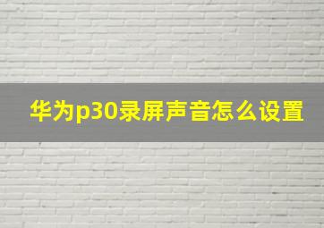 华为p30录屏声音怎么设置