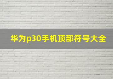 华为p30手机顶部符号大全