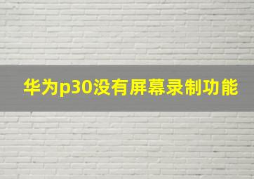 华为p30没有屏幕录制功能