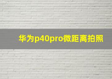 华为p40pro微距离拍照