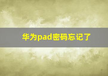 华为pad密码忘记了