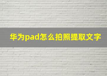 华为pad怎么拍照提取文字