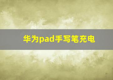 华为pad手写笔充电