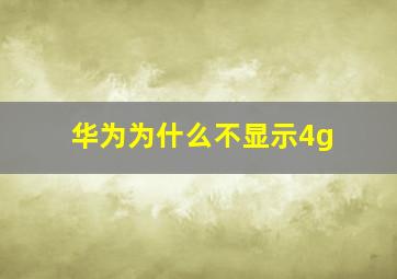 华为为什么不显示4g