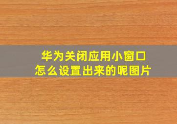 华为关闭应用小窗口怎么设置出来的呢图片