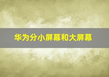 华为分小屏幕和大屏幕