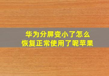 华为分屏变小了怎么恢复正常使用了呢苹果